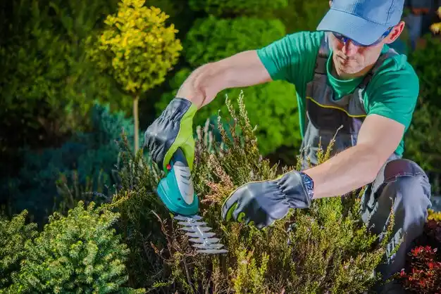 landscaping services Fruitport